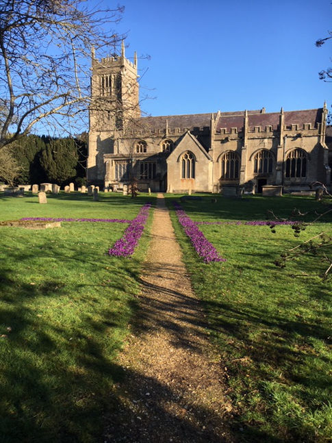 My Local Patch